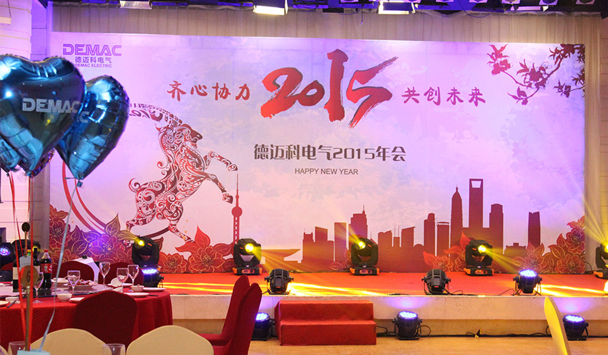 上海德迈科电气2015年会